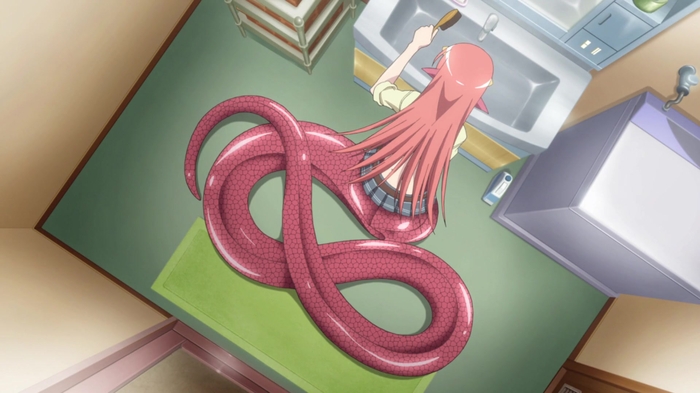 Miia (Monster Musume) 6
