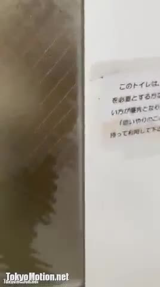 多目的トイレ突撃 1
