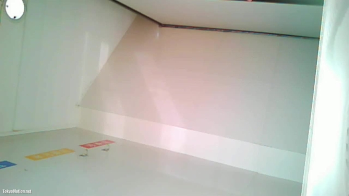 chinese toilet 4