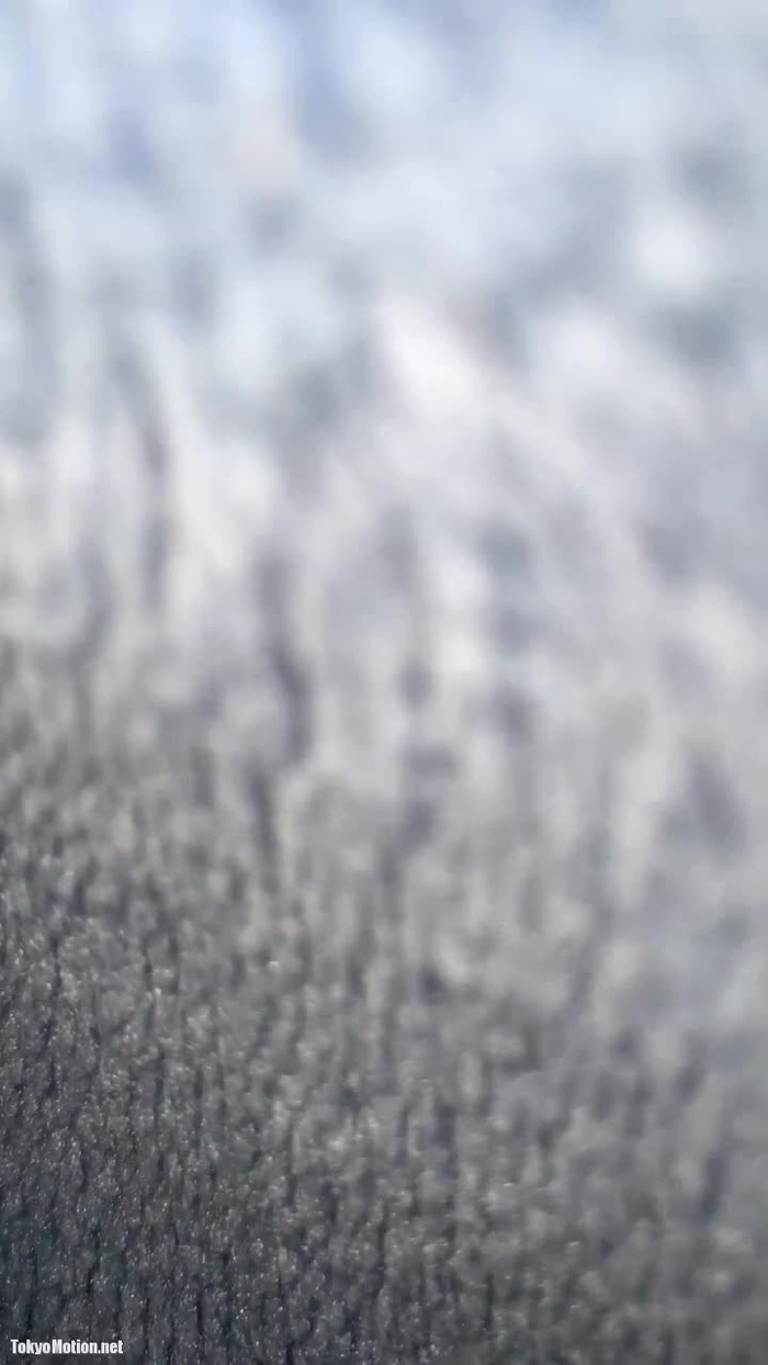 睡眠中 1