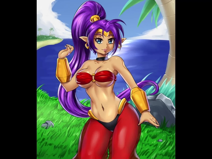 shantae 451