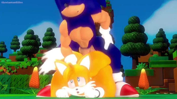 sonic (series) 2500