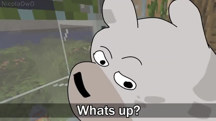 minecraft 1191