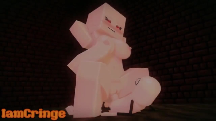 minecraft 1193