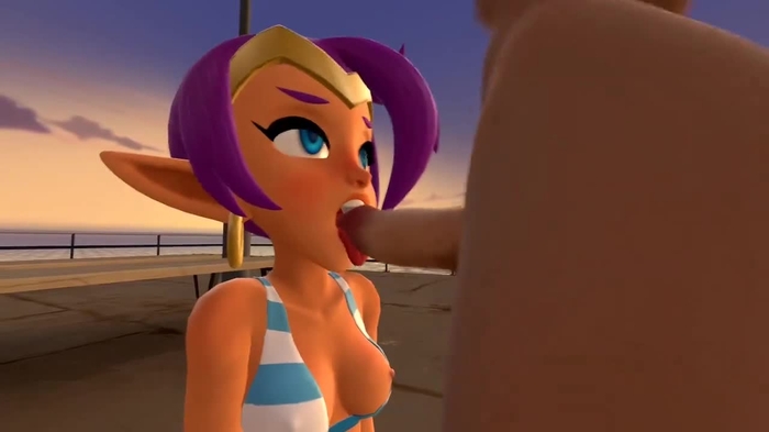 shantae 458