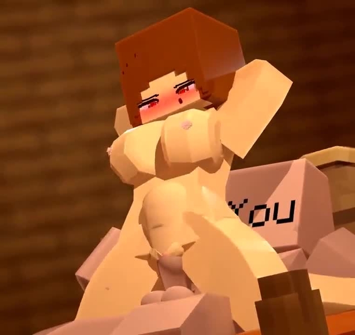 minecraft 1196