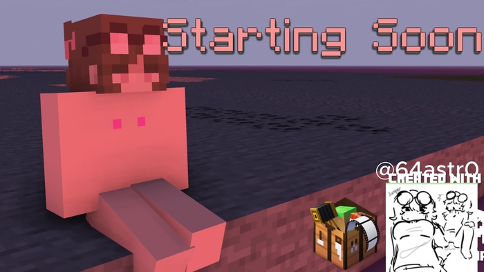 lifesteal smp 4