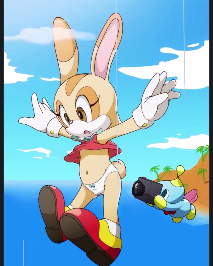 Cream The Rabbit 66