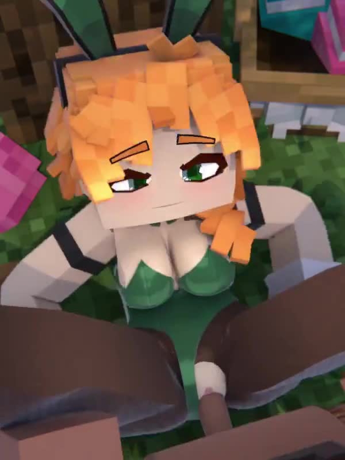 minecraft 1204