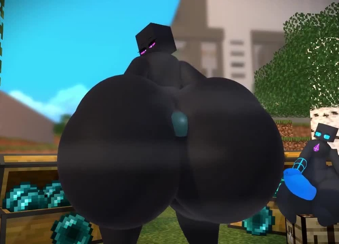 minecraft 1208
