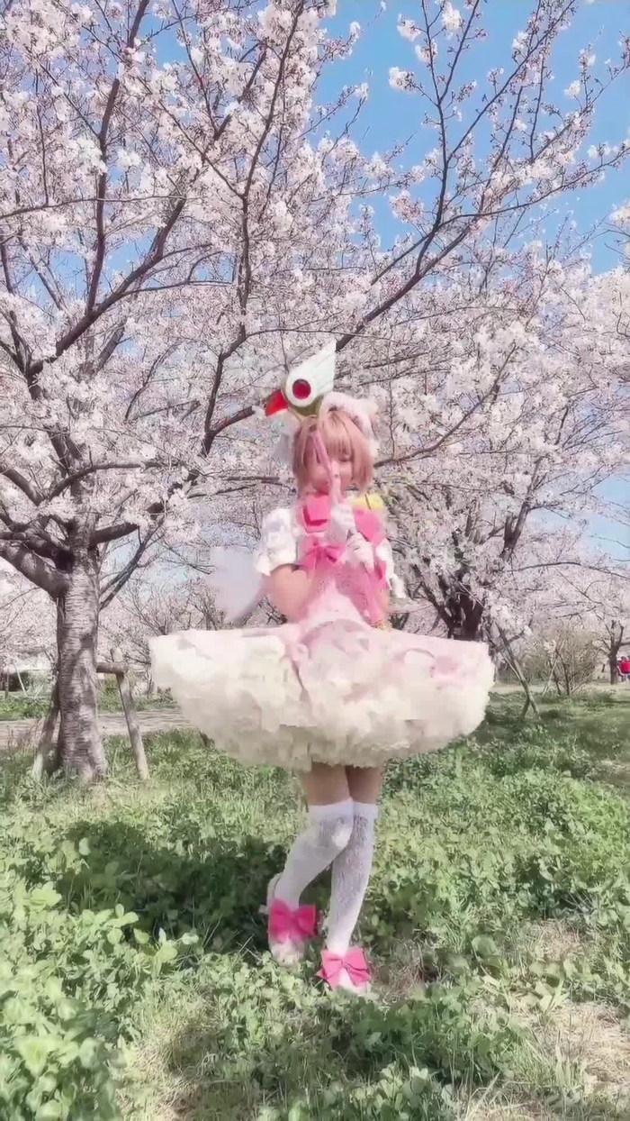 さくら提督🌸2/9WF？ @rionsakura 1
