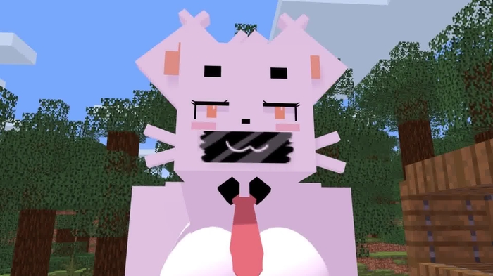 minecraft 1206