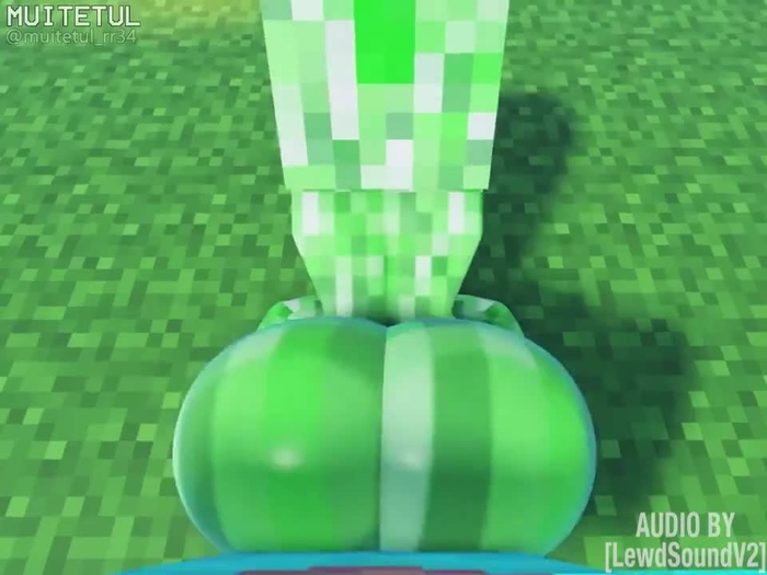 minecraft 1218