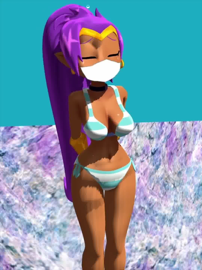 shantae 466