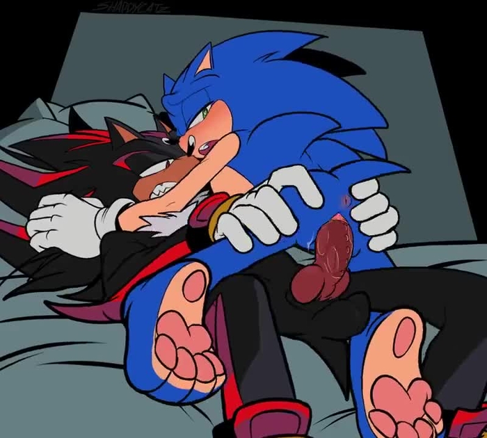 sonic (series) 2568