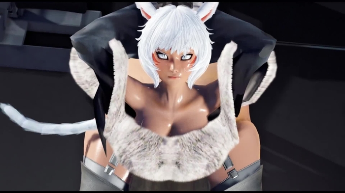 final fantasy xiv 305