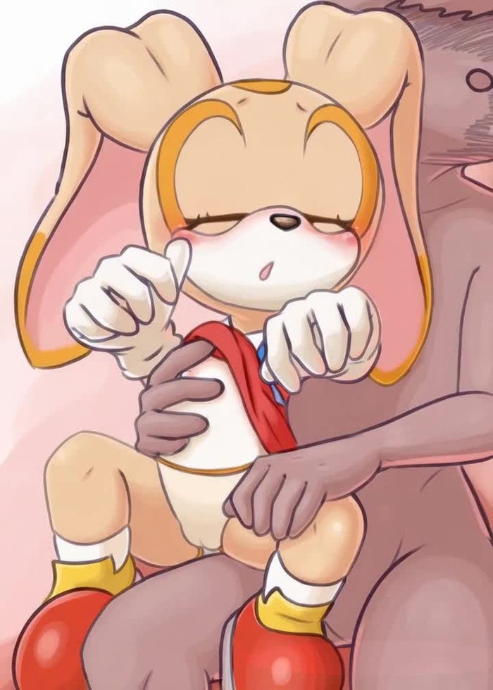 Cream the Rabbit 69