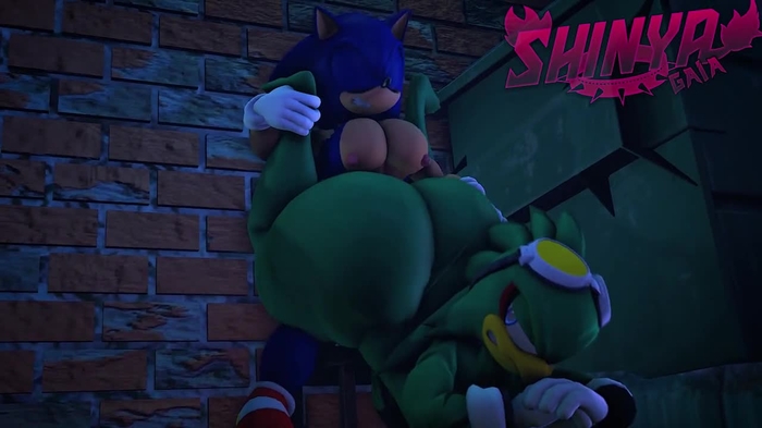 sonic (series) 2573