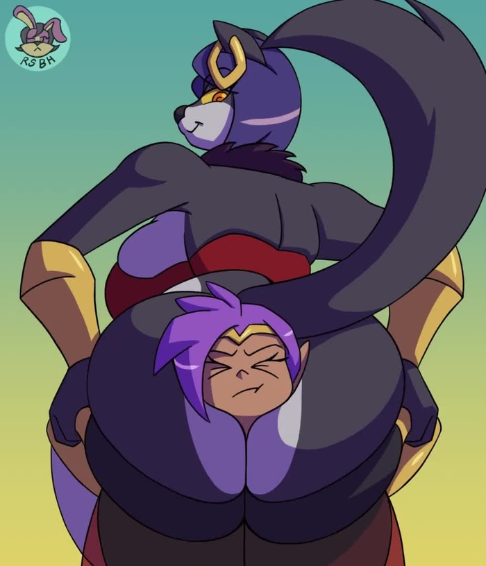shantae 472
