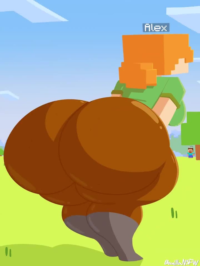 minecraft 1243
