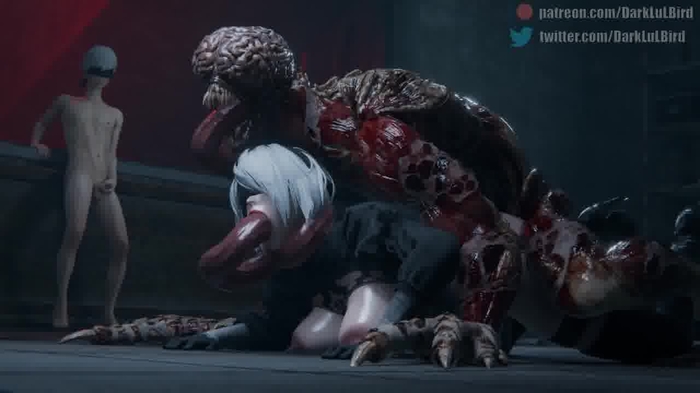 nier 2272
