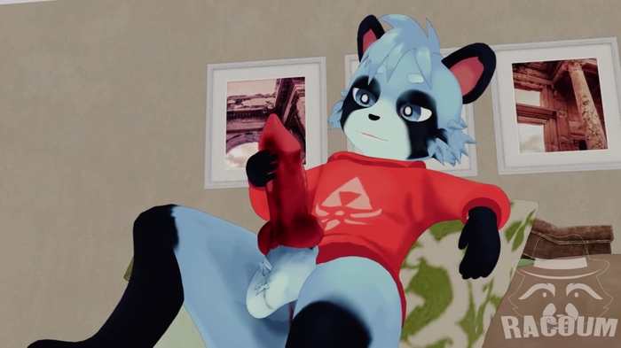guto raccoon 1