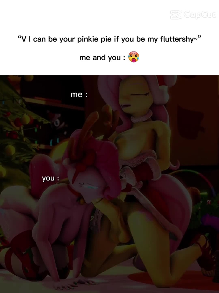 my little pony 2286