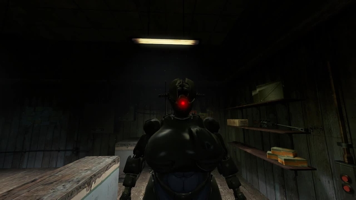 fallout 754