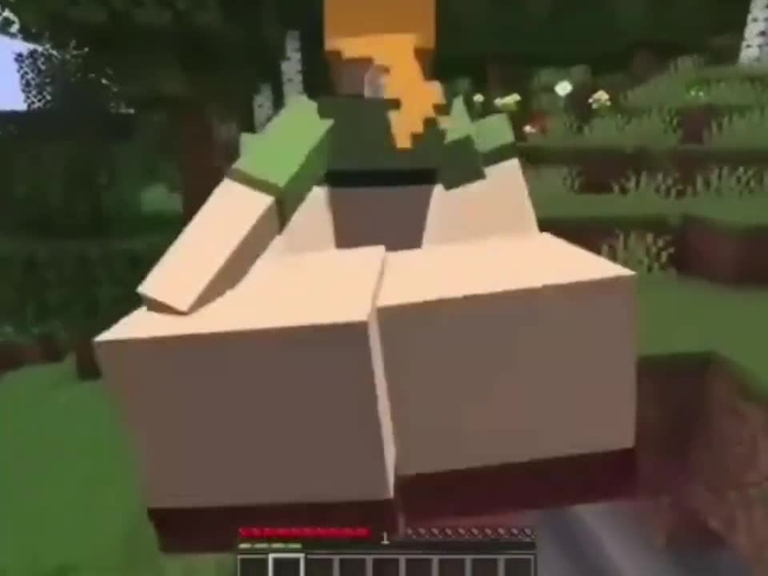 minecraft 1258