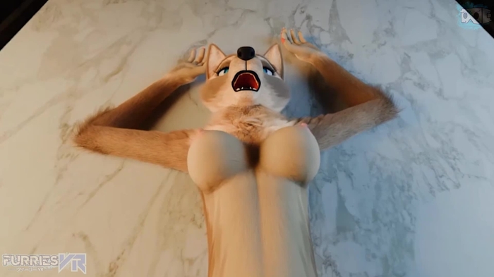 Media 2