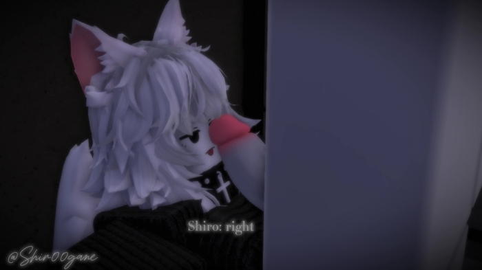 roblox 2213