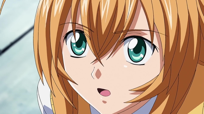 ikkitousen 25