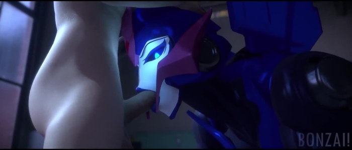 transformers 70