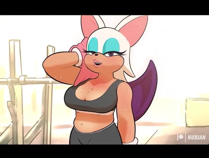 Rouge the Bat 308