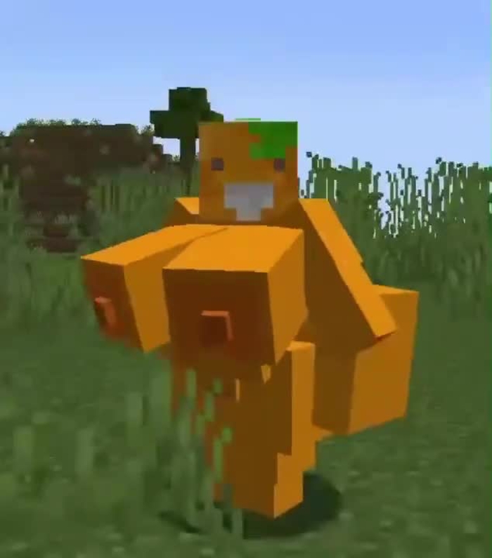minecraft 1282