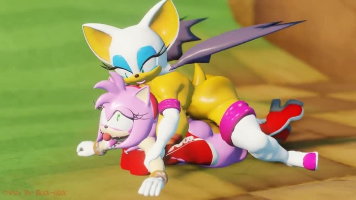 Rouge the Bat 319