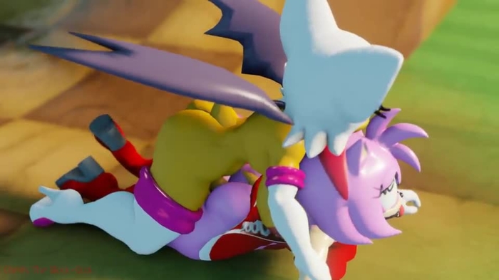 Rouge the Bat 318