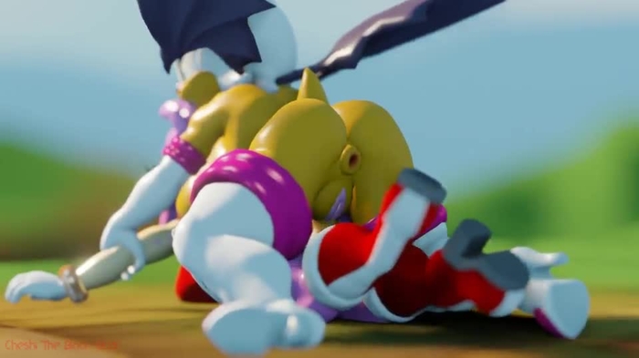 Rouge the Bat 316