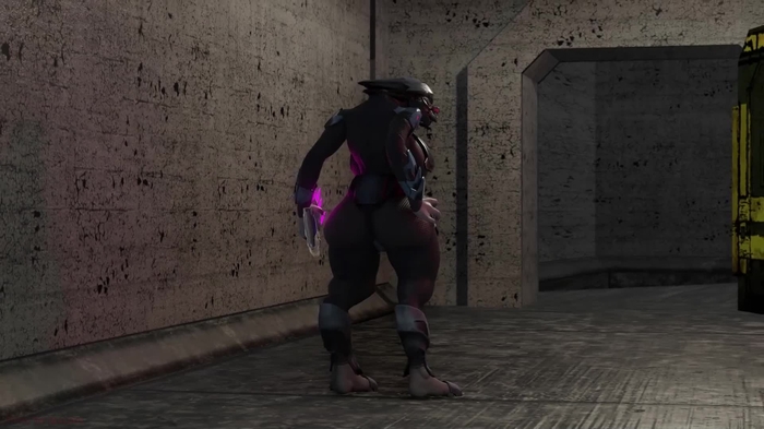 Sangheili 248