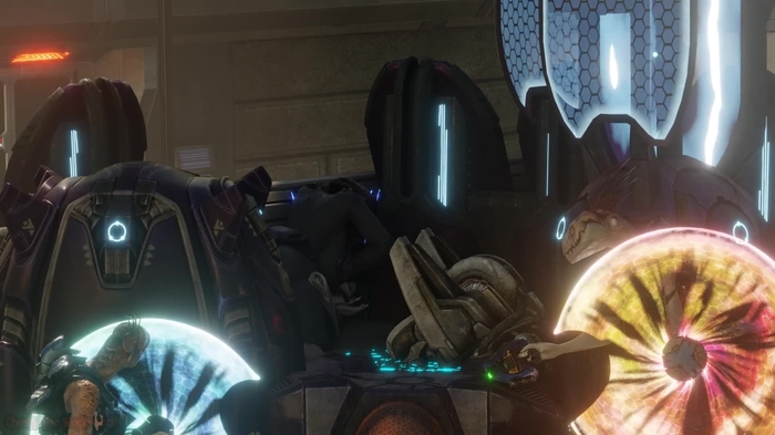 Sangheili 247