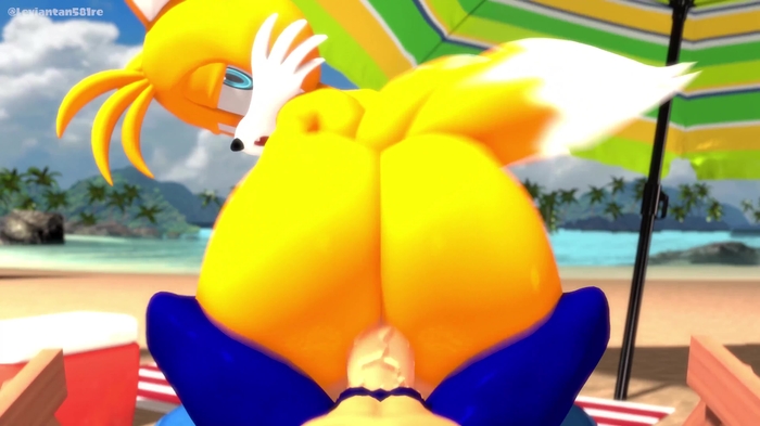 sonic (series) 2648
