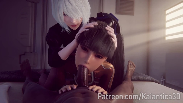 nier 2285