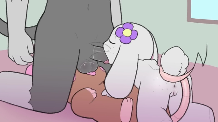 Pokemon 5698