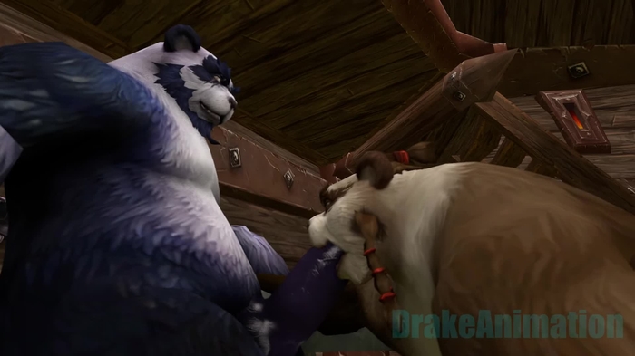 Pandaren 45