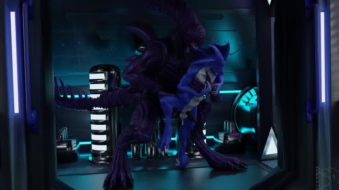 Xenomorph 65
