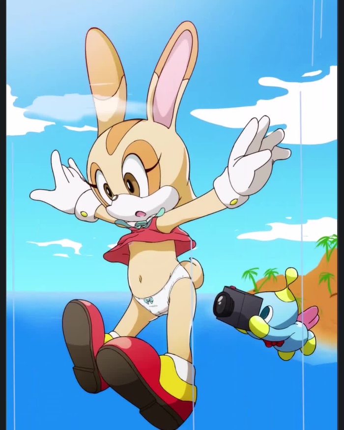 Cream the Rabbit 83