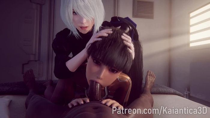2b (nier:automata) 315