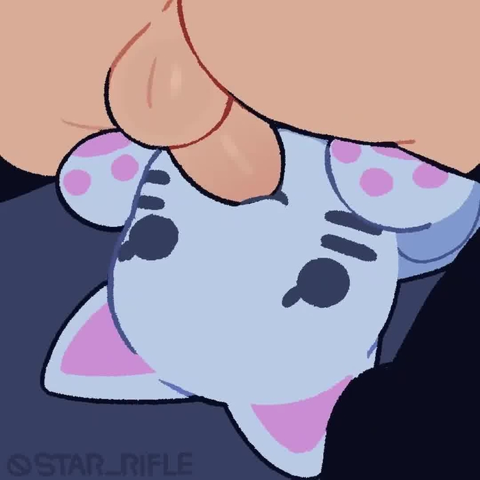 star rifle 13