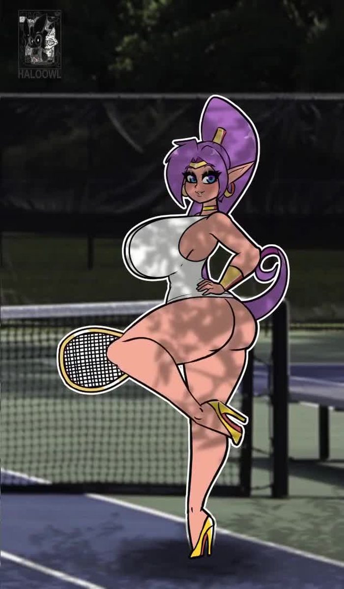 shantae 481
